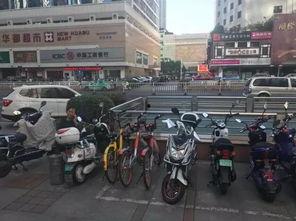 1007新闻爆料热线,聚焦民生,倾听民意 第2张 1007新闻爆料热线,聚焦民生,倾听民意 第2张